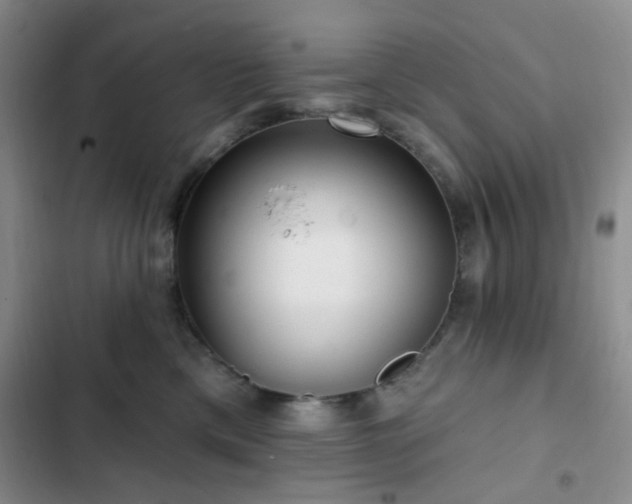 X0000102830425200808181329