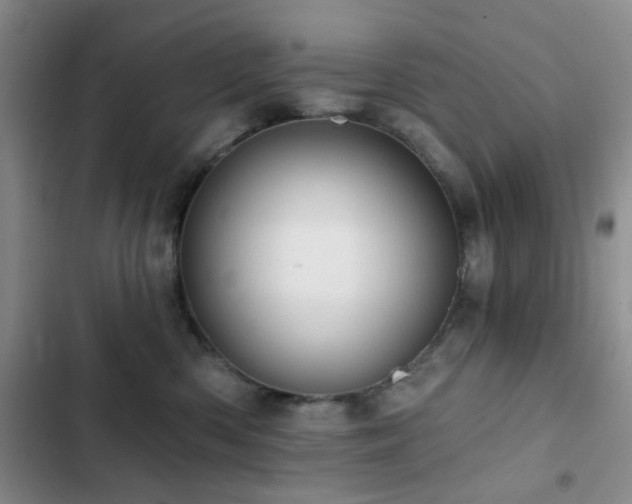 X0000102830426200808181328