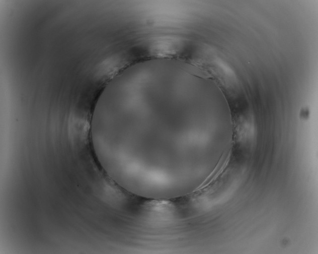 X0000102830427200808181328