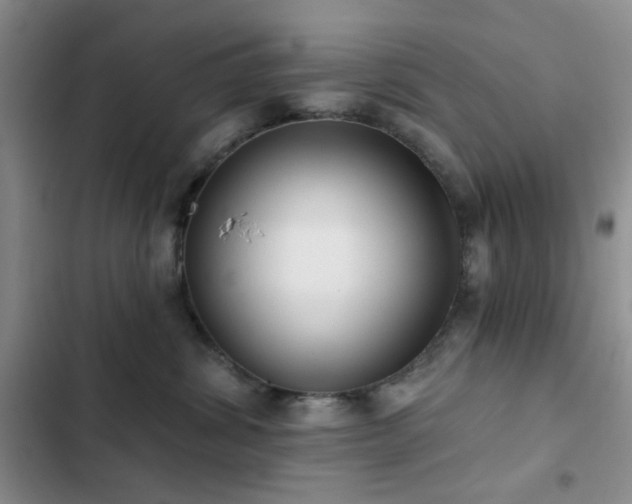 X0000102830428200808181328