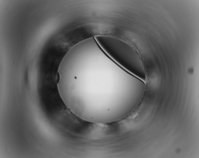 X0000102830429200808181328