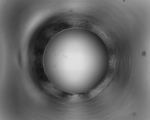 X0000102830430200808181328