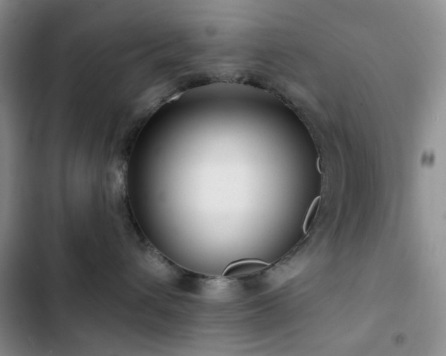 X0000102830432200808181328