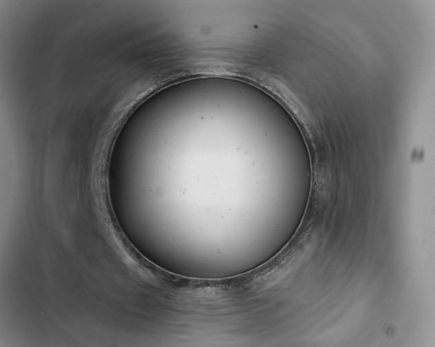 X0000102830433200808181328