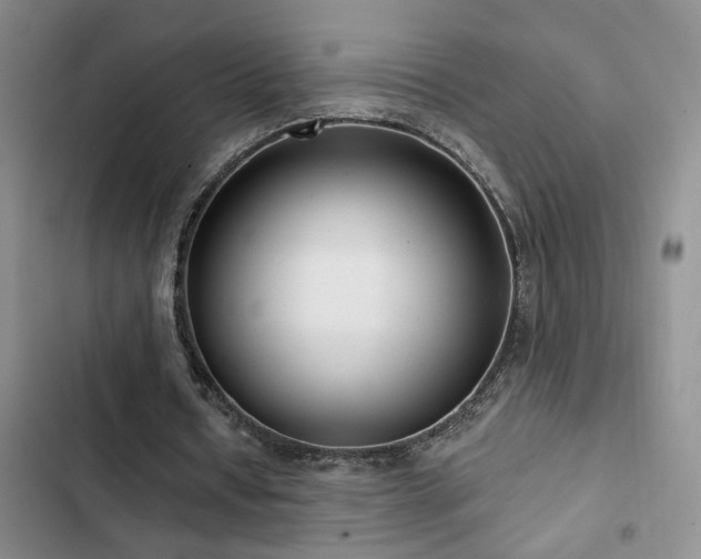 X0000102830434200808181328