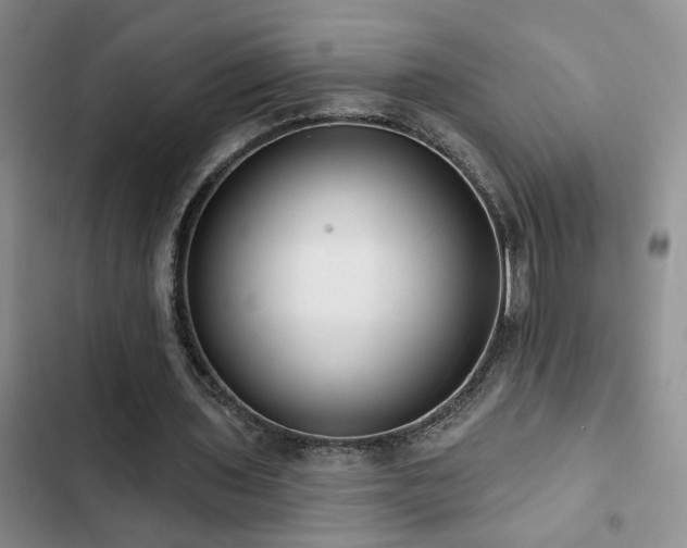 X0000102830435200808181328