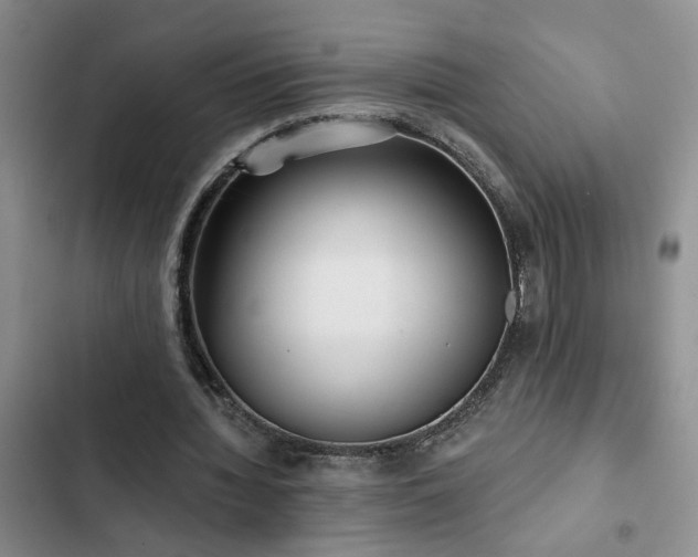 X0000102830436200808181328