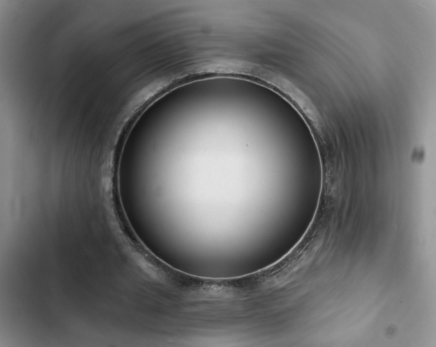 X0000102830437200808181328