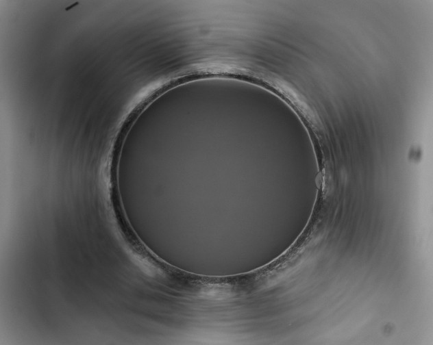 X0000102830438200808181328