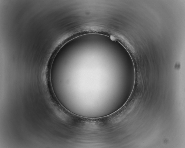 X0000102830439200808181328