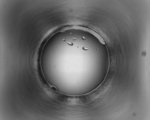 X0000102830440200808181328