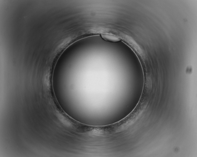 X0000102830441200808181328