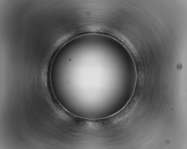 X0000102830442200808181328