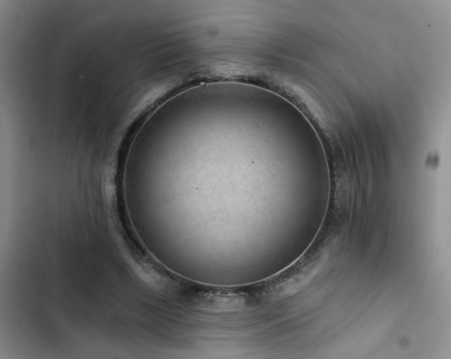 X0000102830443200808181328