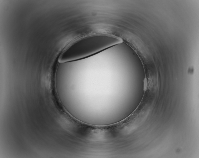 X0000102830444200808181328