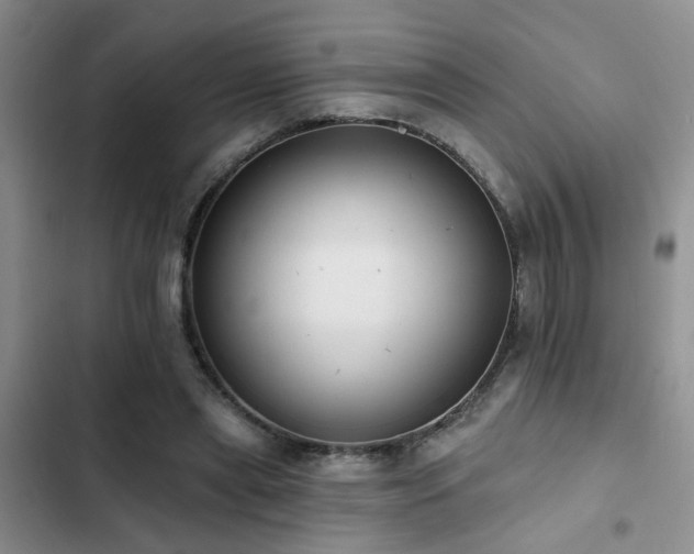 X0000102830445200808181328