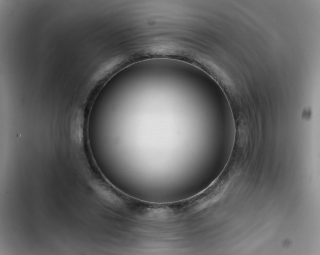 X0000102830446200808181328