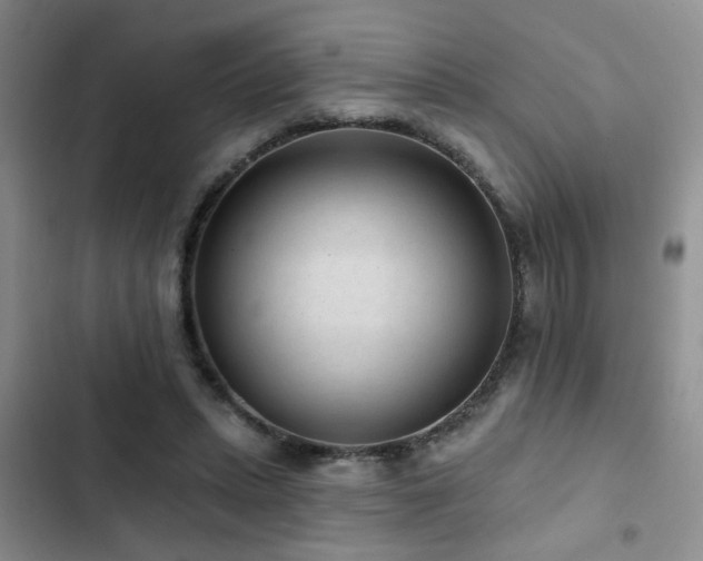 X0000102830447200808181328