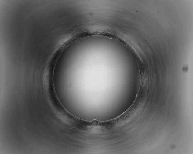 X0000102830448200808181328