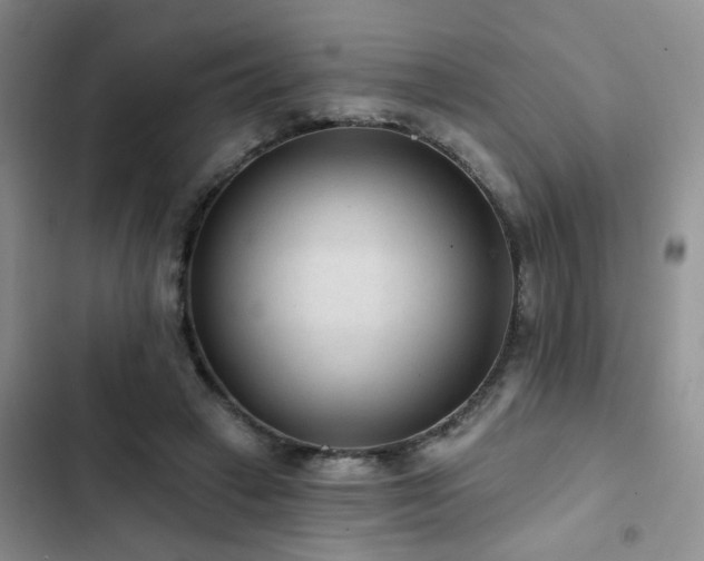 X0000102830449200808181328