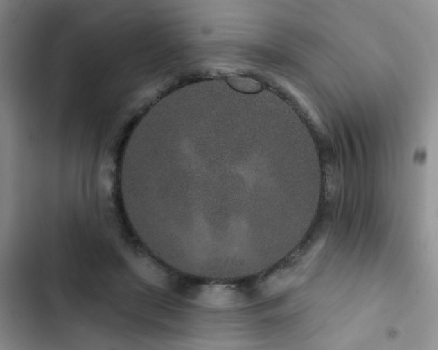 X0000102830451200808181328