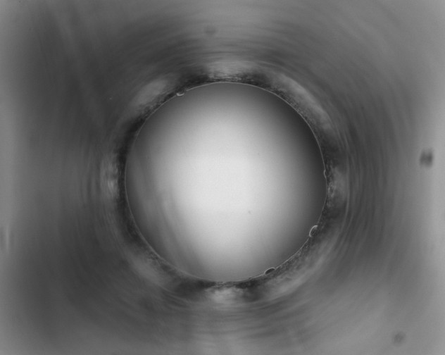 X0000102830452200808181328