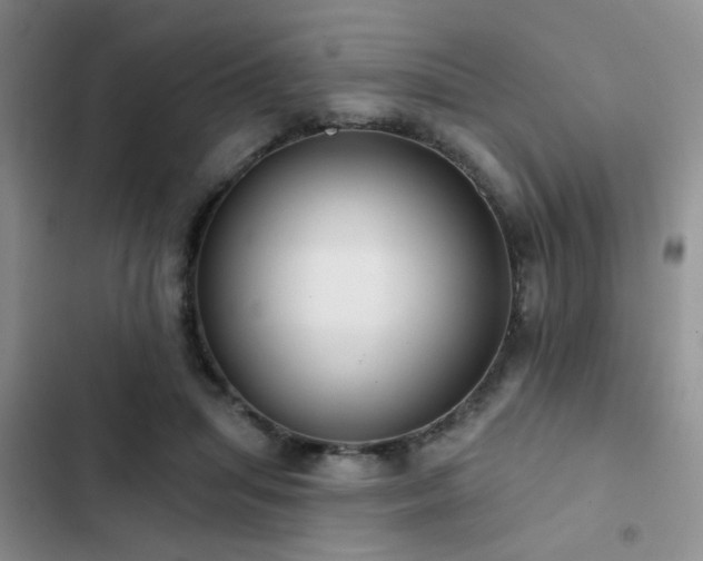 X0000102830455200808181328