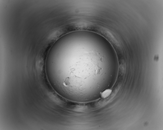 X0000102830458200808181328