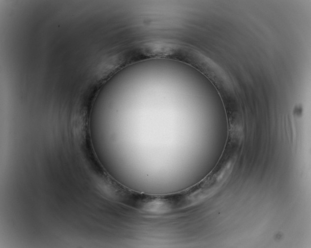 X0000102830460200808181328