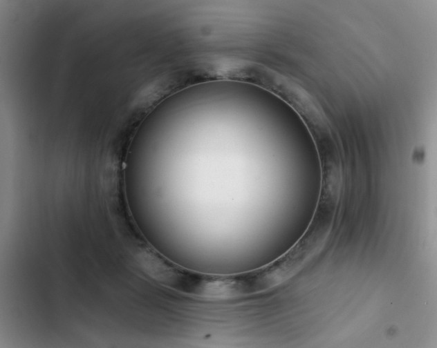 X0000102830461200808181328