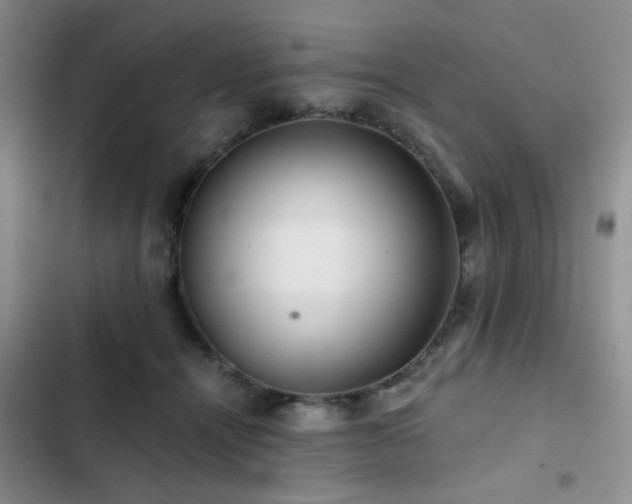 X0000102830464200808181328