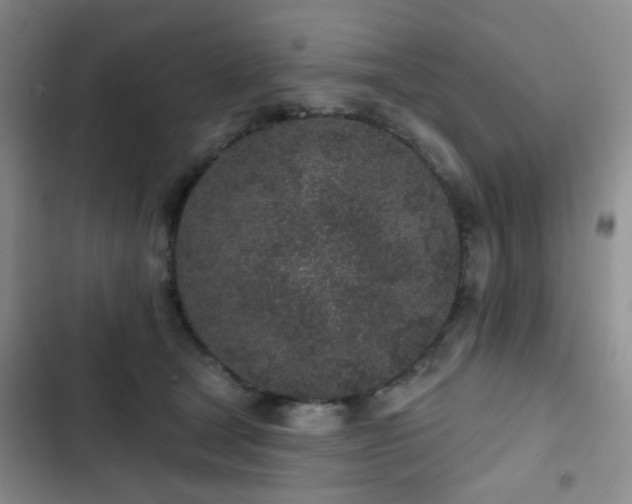 X0000102830465200808181328