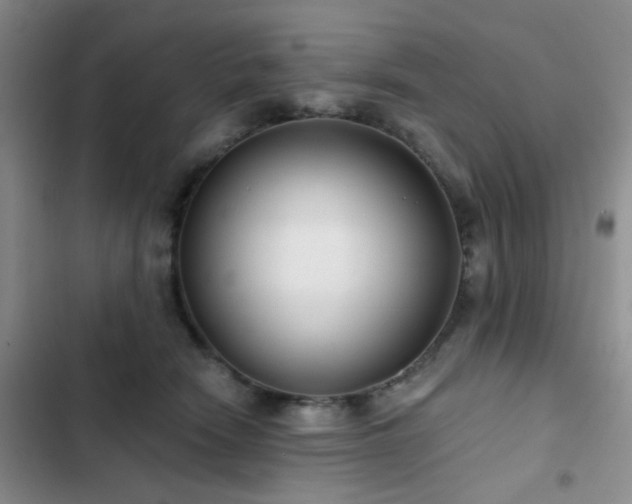 X0000102830466200808181328