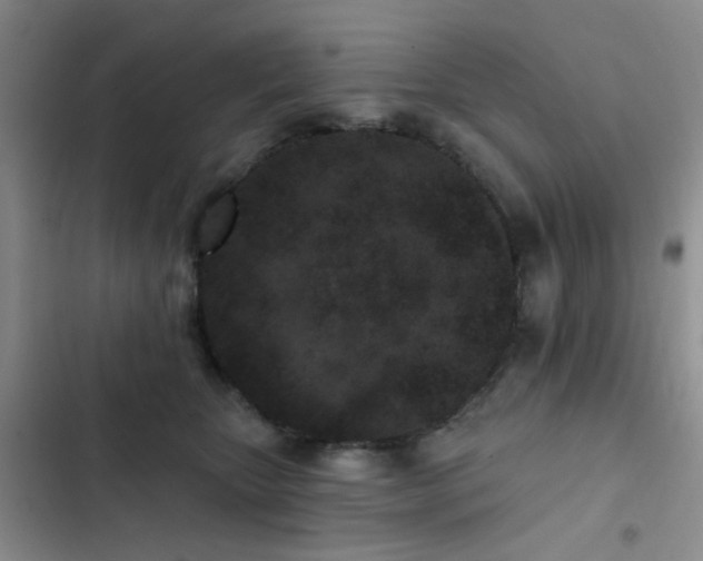 X0000102830467200808181328