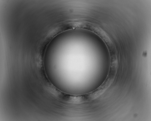 X0000102830469200808181328