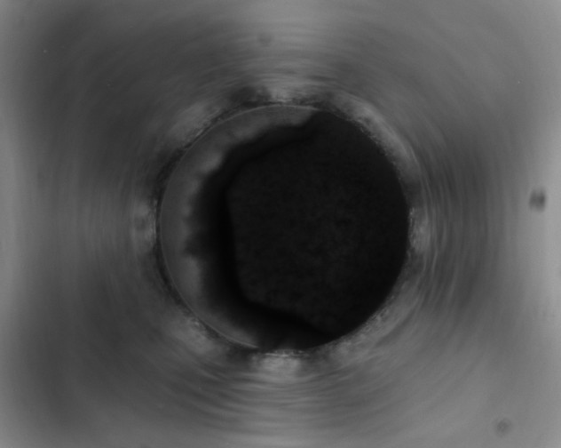 X0000102830471200808181328