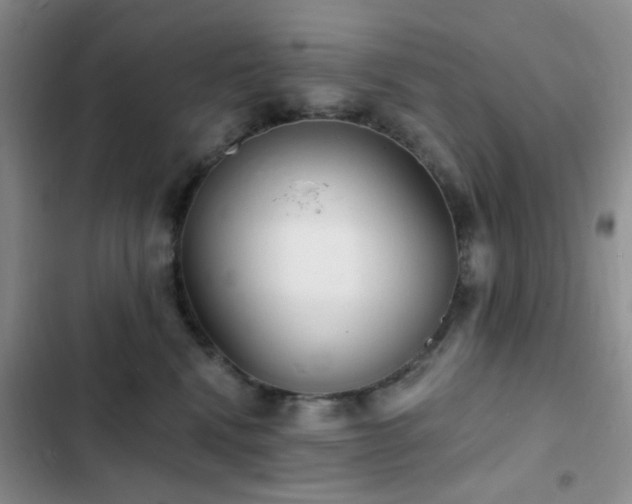 X0000102830472200808181328