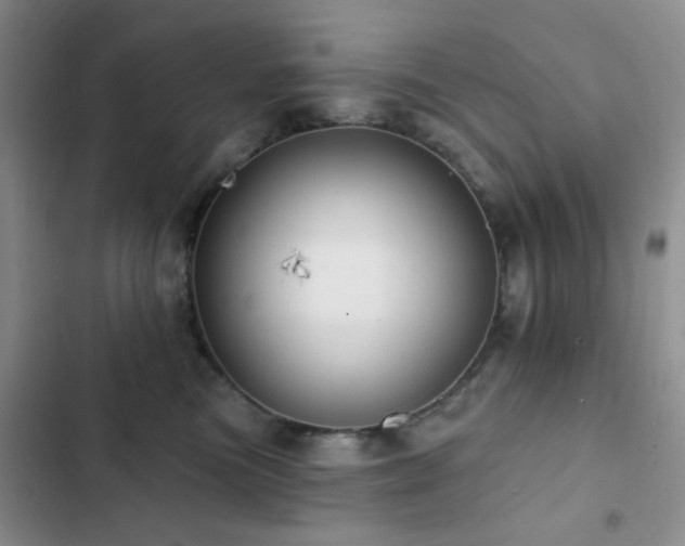 X0000102830473200808181328