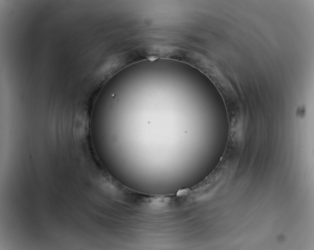 X0000102830474200808181328