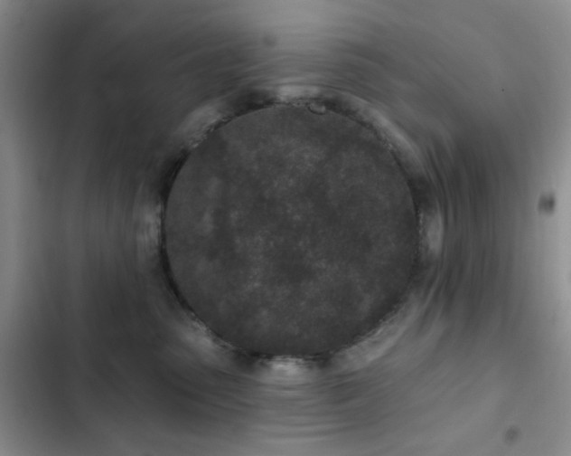 X0000102830475200808181328