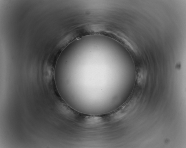 X0000102830476200808181328