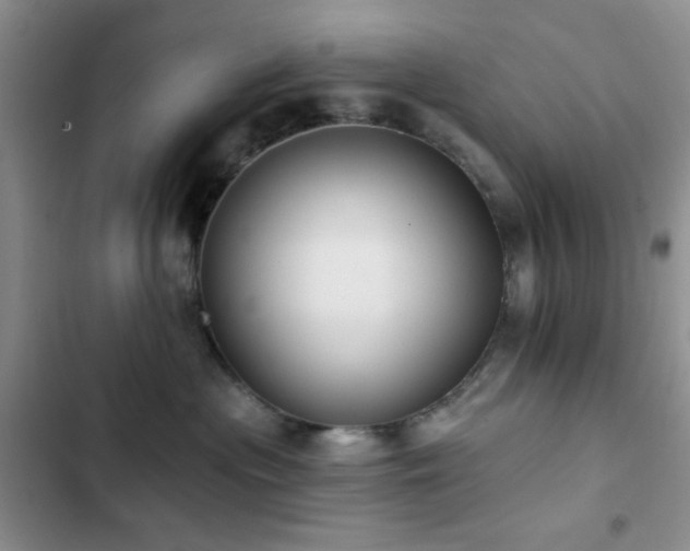 X0000102830477200808181328