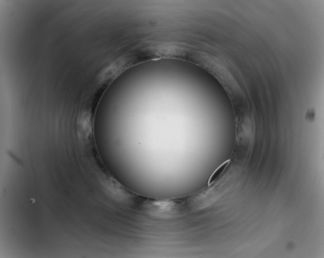 X0000102830478200808181328