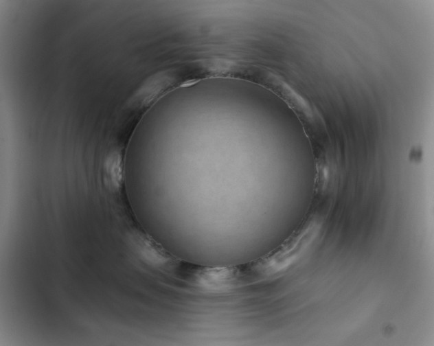 X0000102830479200808181328