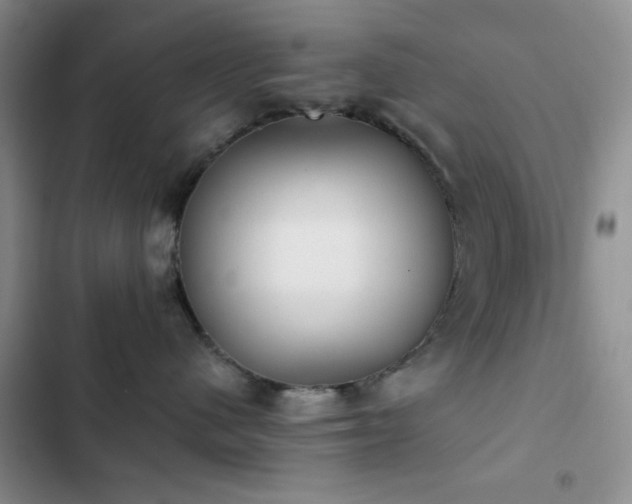 X0000102830480200808181328