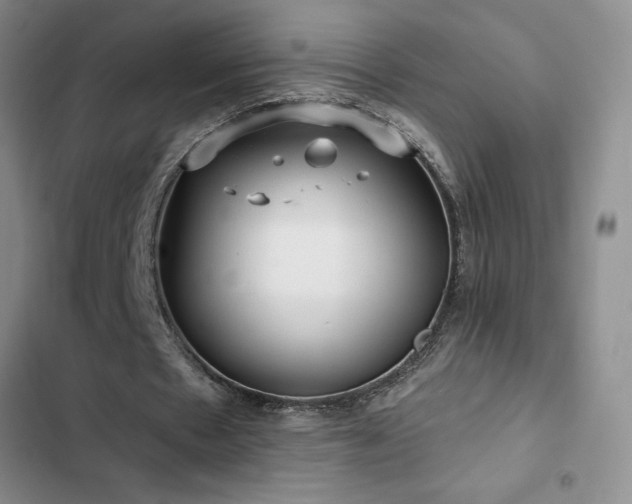 X0000102830481200808181328