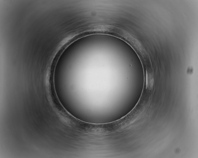 X0000102830483200808181328