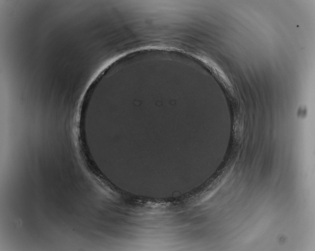 X0000102830484200808181328