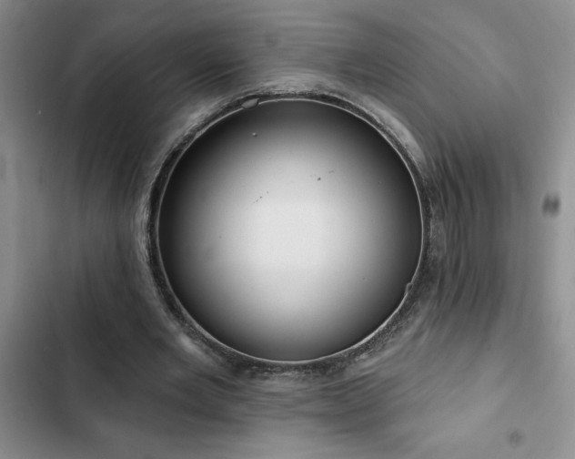 X0000102830485200808181328