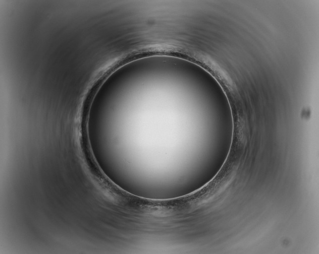 X0000102830486200808181328